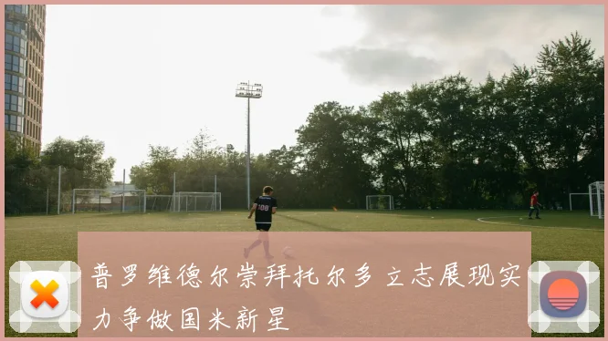 普罗维德尔崇拜托尔多立志展现实力争做国米新星