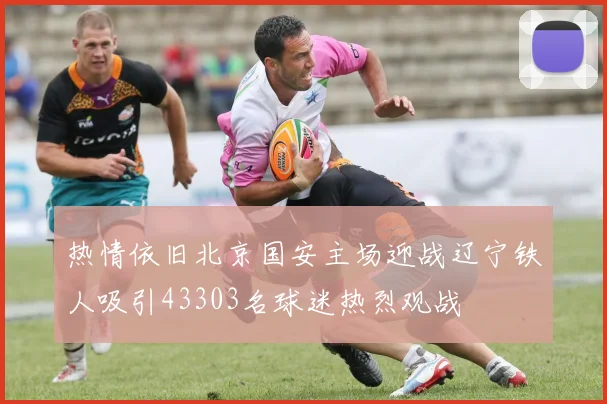 热情依旧北京国安主场迎战辽宁铁人吸引43303名球迷热烈观战